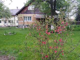 Фото Гостевой дом Casa traditionala Subcetate г. Subcetate